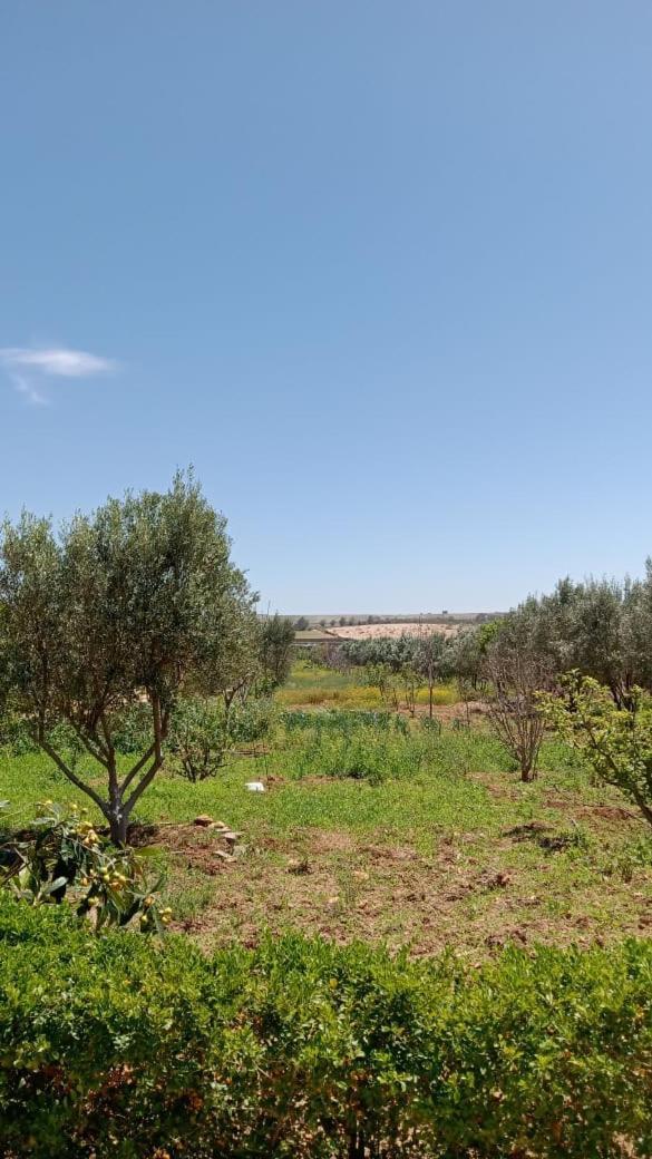 Ferme De Rayan Villa Safi Dış mekan fotoğraf
